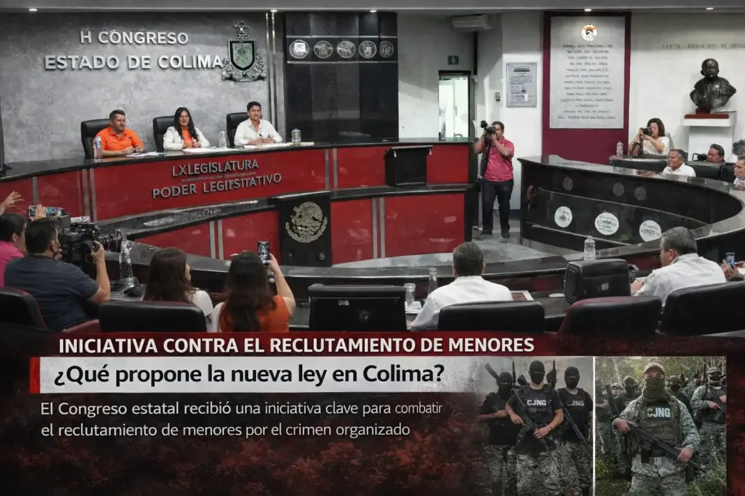 Diputados de MC impulsan nueva ley contra el reclutamiento de menores en Colima Contexto de violencia en Colima vinculado al reclutamiento de menores