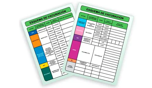 Paso a paso: Cómo tramitar la reimpresión de la cartilla de vacunación IMSS en línea en 2026 Paso a paso: Cómo tramitar la reimpresión de la cartilla de vacunación IMSS en línea en 2026