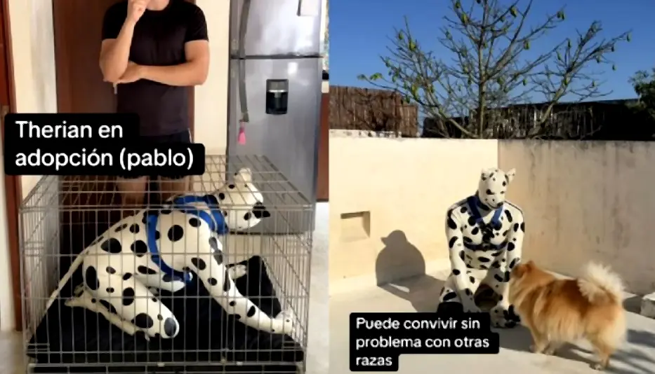Therian de 42 años entra en adopción y provoca debate viral en redes Caso viral de therian de 42 años que busca adopción por cuidados especiales