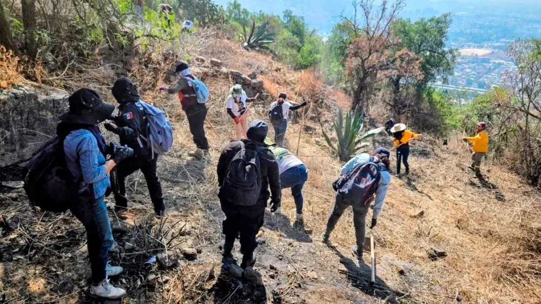 Hallan 155 fragmentos óseos en Panteón de Dolores en nueva fase de búsqueda Hallan 155 fragmentos óseos en Panteón de Dolores en nueva fase de búsqueda