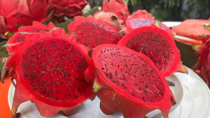 Fruta del dragón: 7 beneficios que la convierten en una de las más saludables del mundo Fruta del dragón: 7 beneficios que la convierten en una de las más saludables del mundo